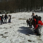 Problem solving sul Monte Amiata